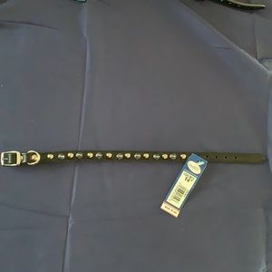 Omni pet leather studded 14 inch dog collar